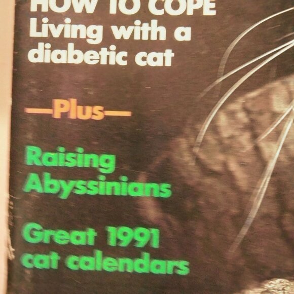 Cat Fancy Magazine Vintage January 1991 - Picture 5 of 9
